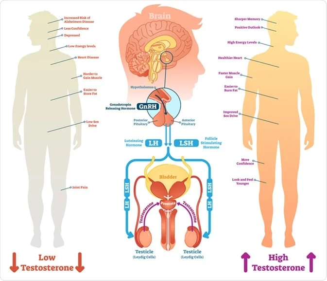 testosterone replacement therapy